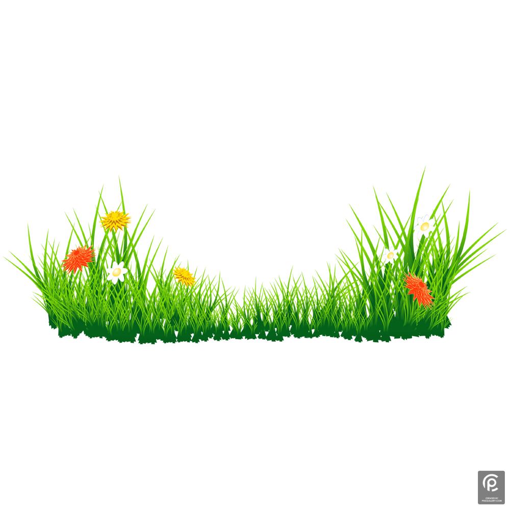 Easter Grass  Transparent Clipart