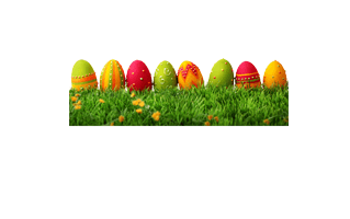 Easter Grass PNG