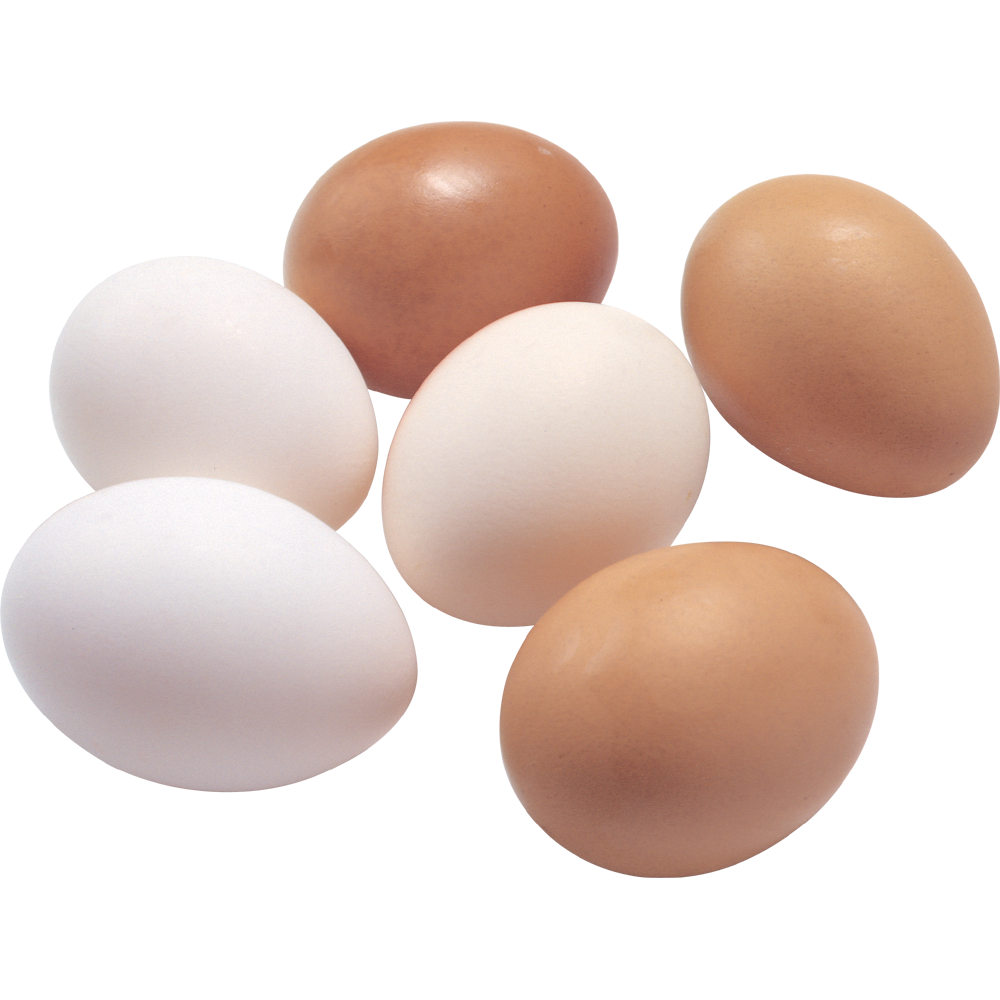 Egg Transparent Photo