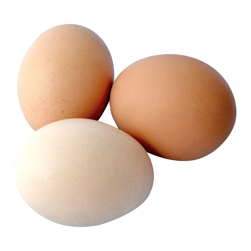 Egg Transparent Picture