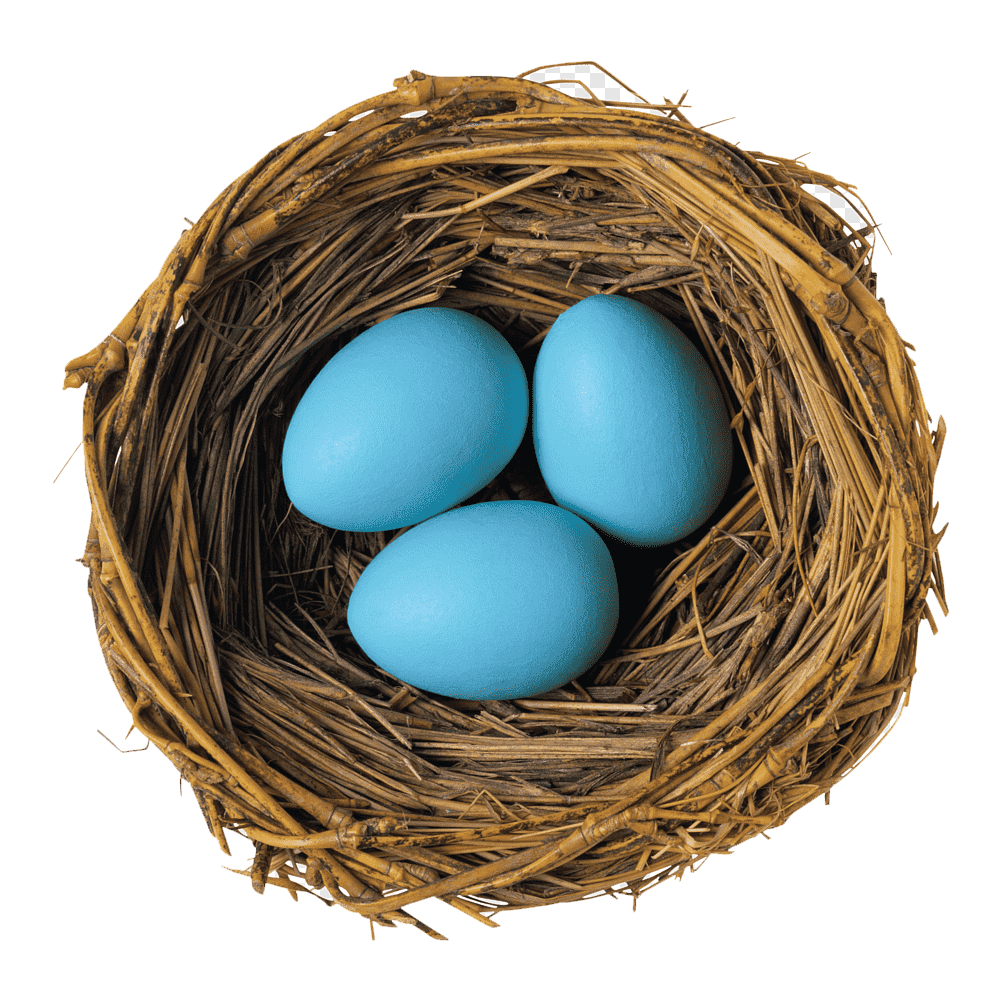 Egg In Next  Transparent Clipart