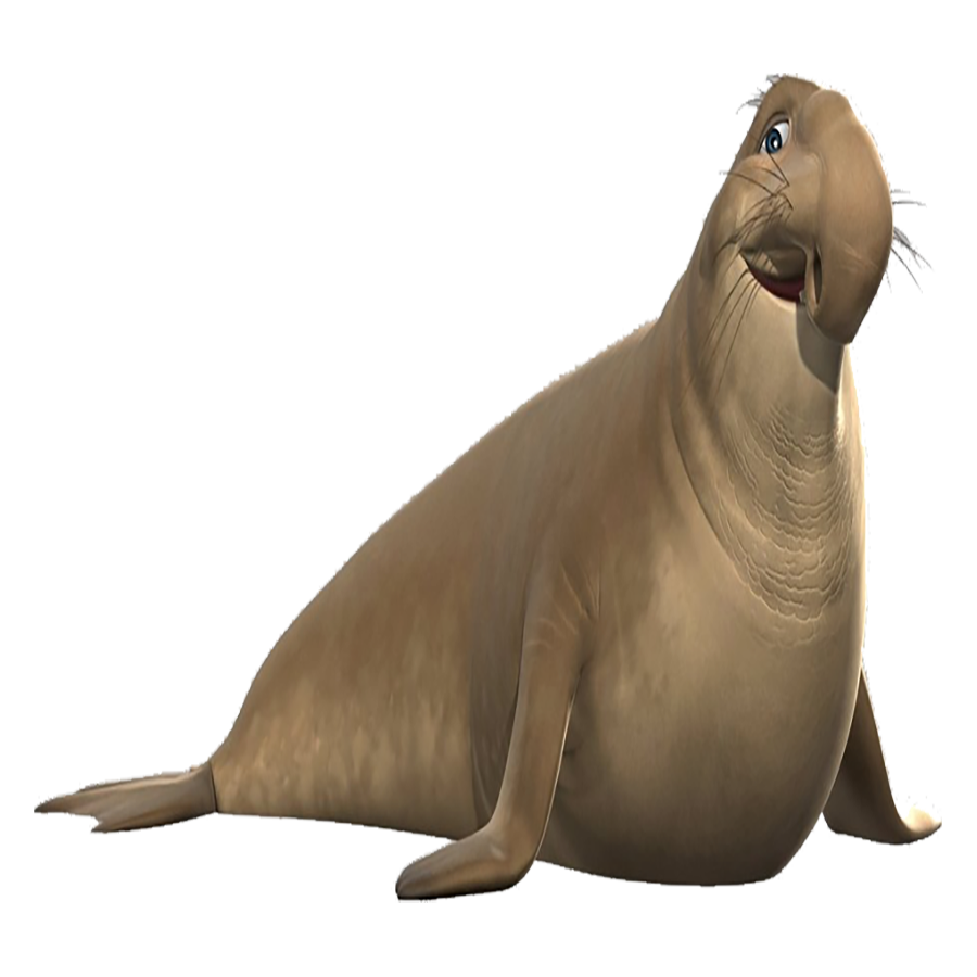 Elephant Seal Transparent Photo