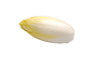 Endive PNG