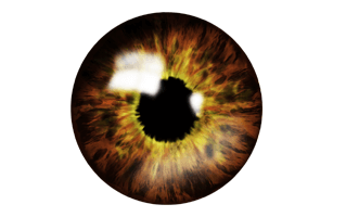 Eyes PNG