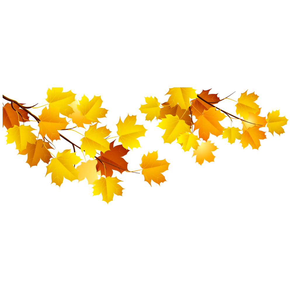 Fall Tree Branch Transparent Picture