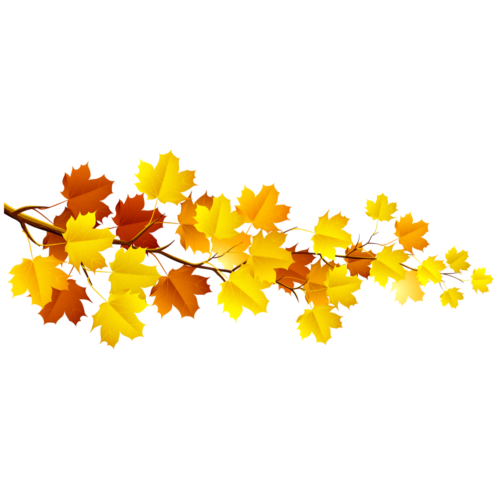 Fall Tree Branch  Transparent Clipart