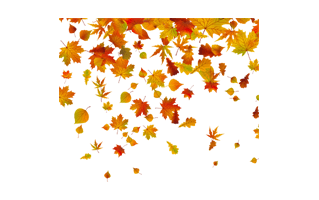 Fall PNG