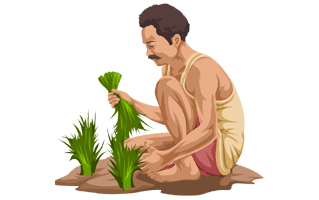 Farmer PNG