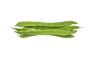 Fava Bean PNG