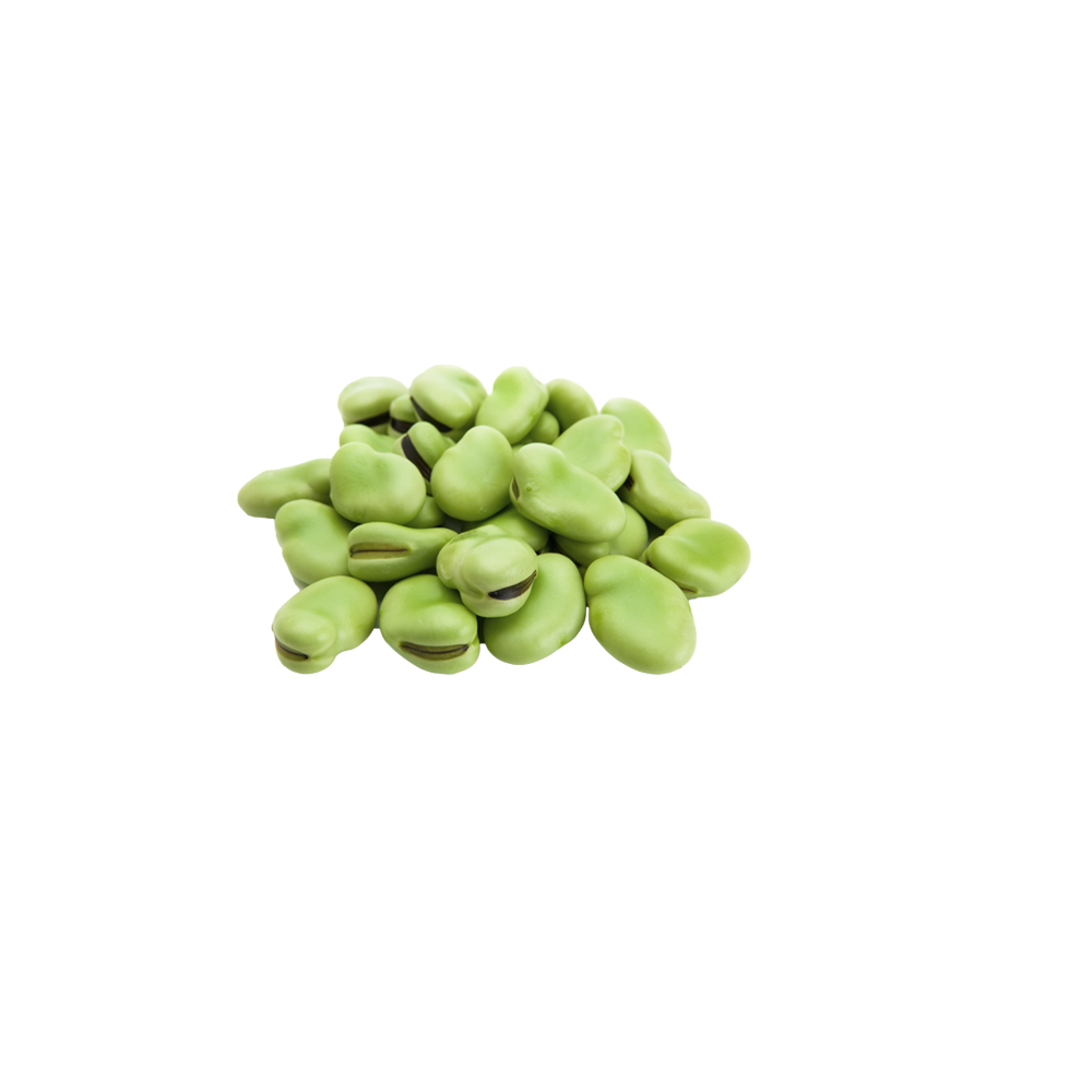 Fava Beans  Transparent Image