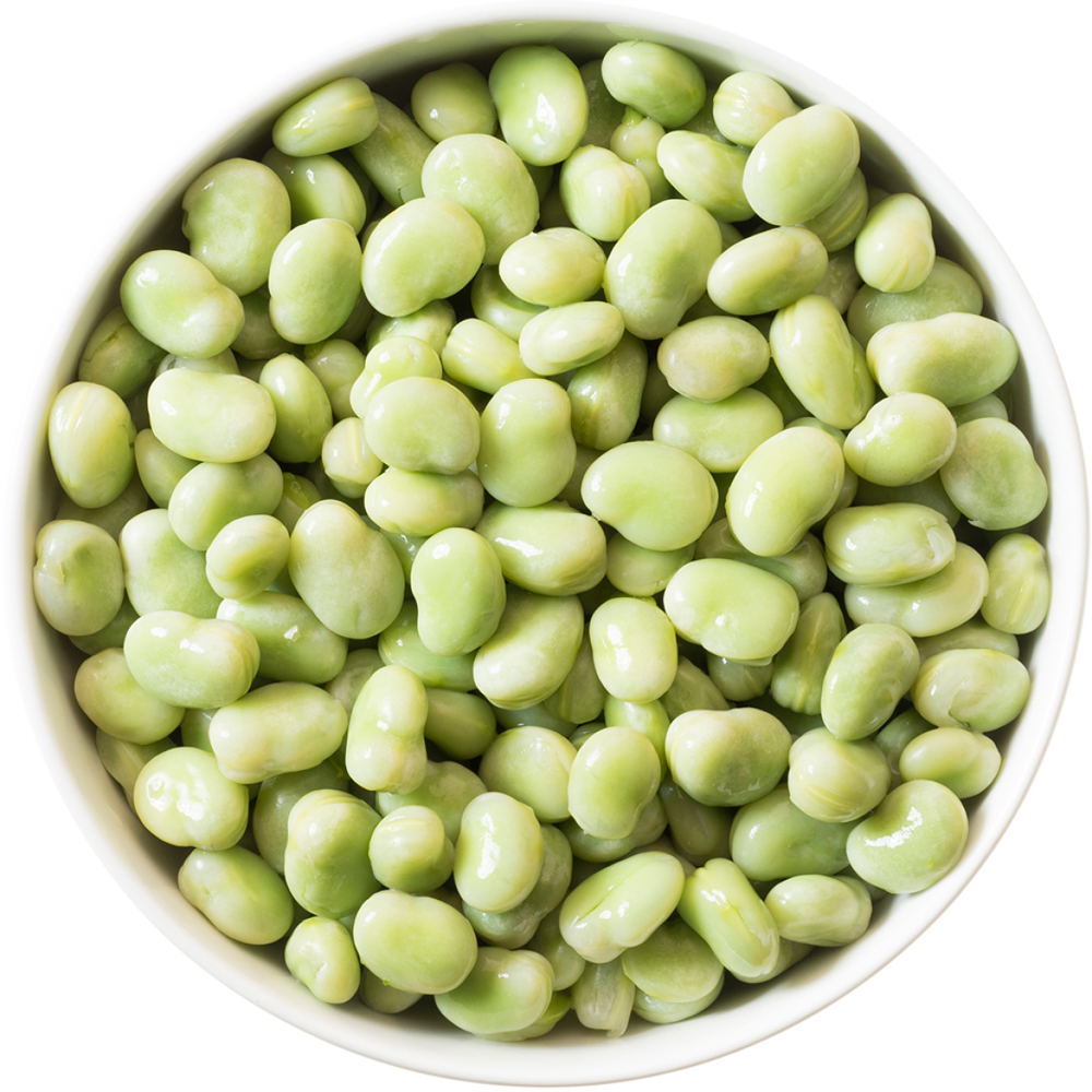Fava Beans  Transparent Photo