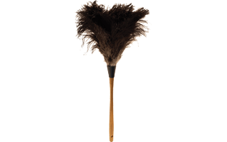 Feather Duster PNG