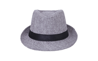 Fedora PNG