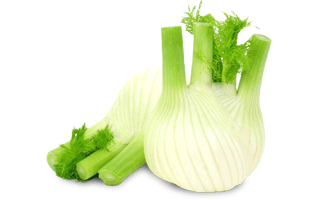 Fennel PNG