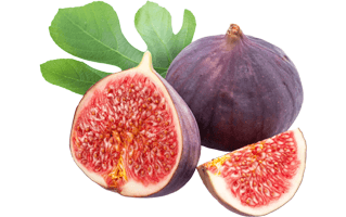 Figs PNG