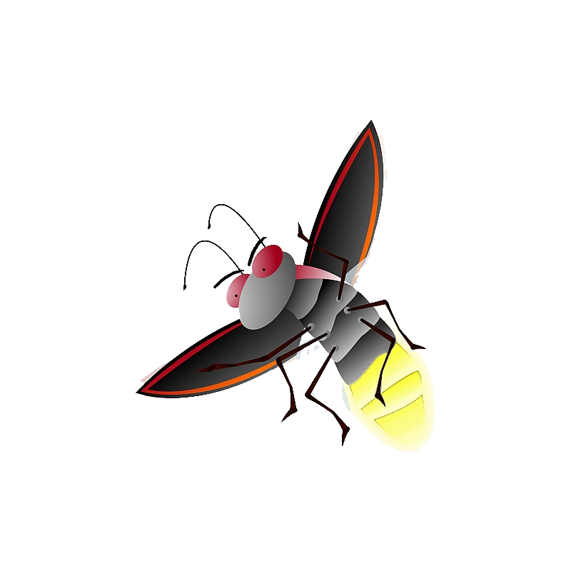 Firefly Transparent Clipart