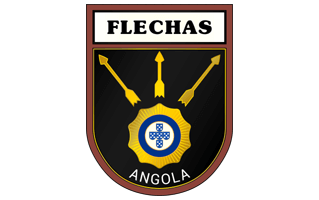 Flechas Logo PNG