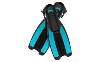 Flippers PNG