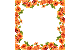 Floral Frame PNG