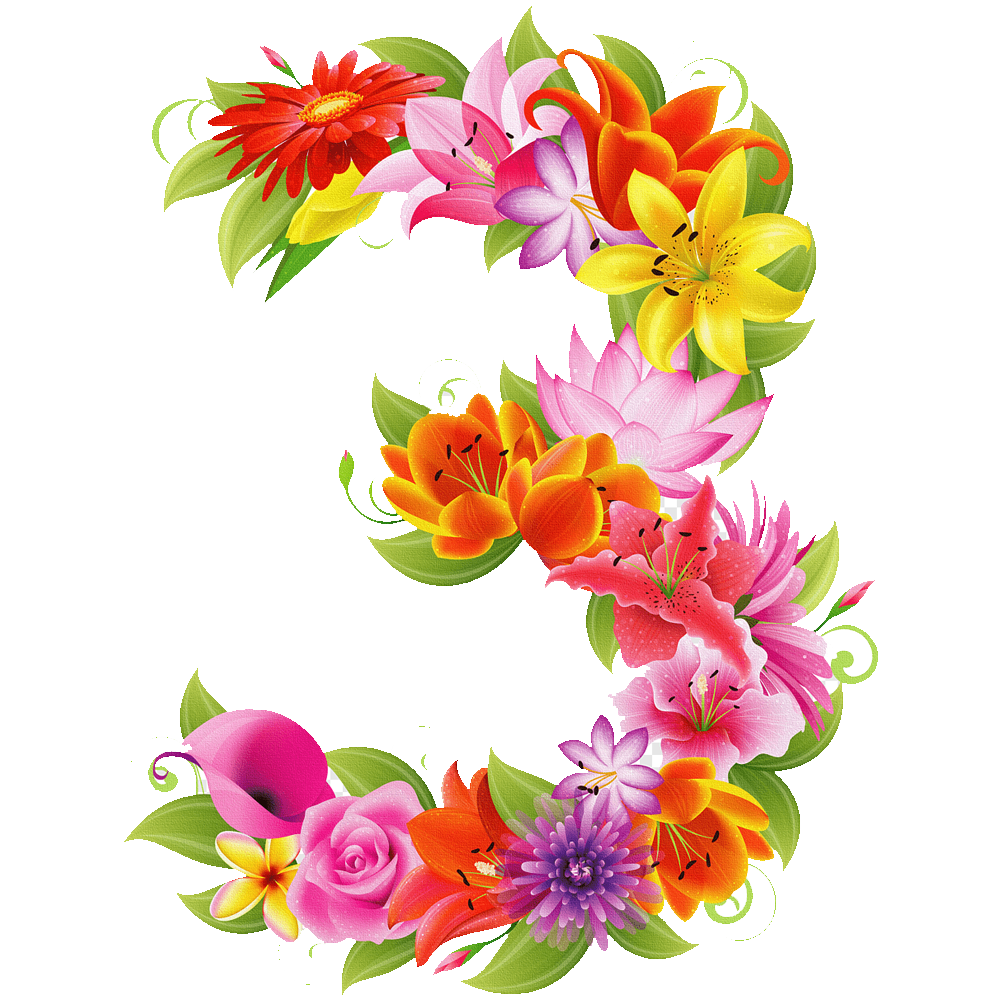 Floral Number Transparent Picture