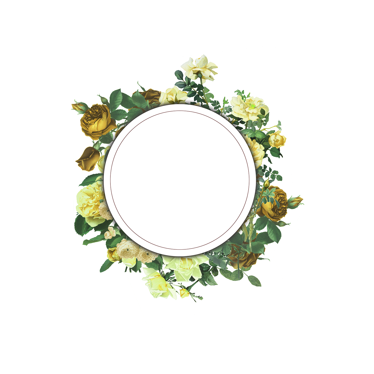 Flower Frame Transparent Picture