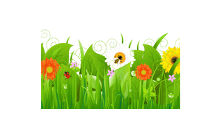 Flower Garden PNG