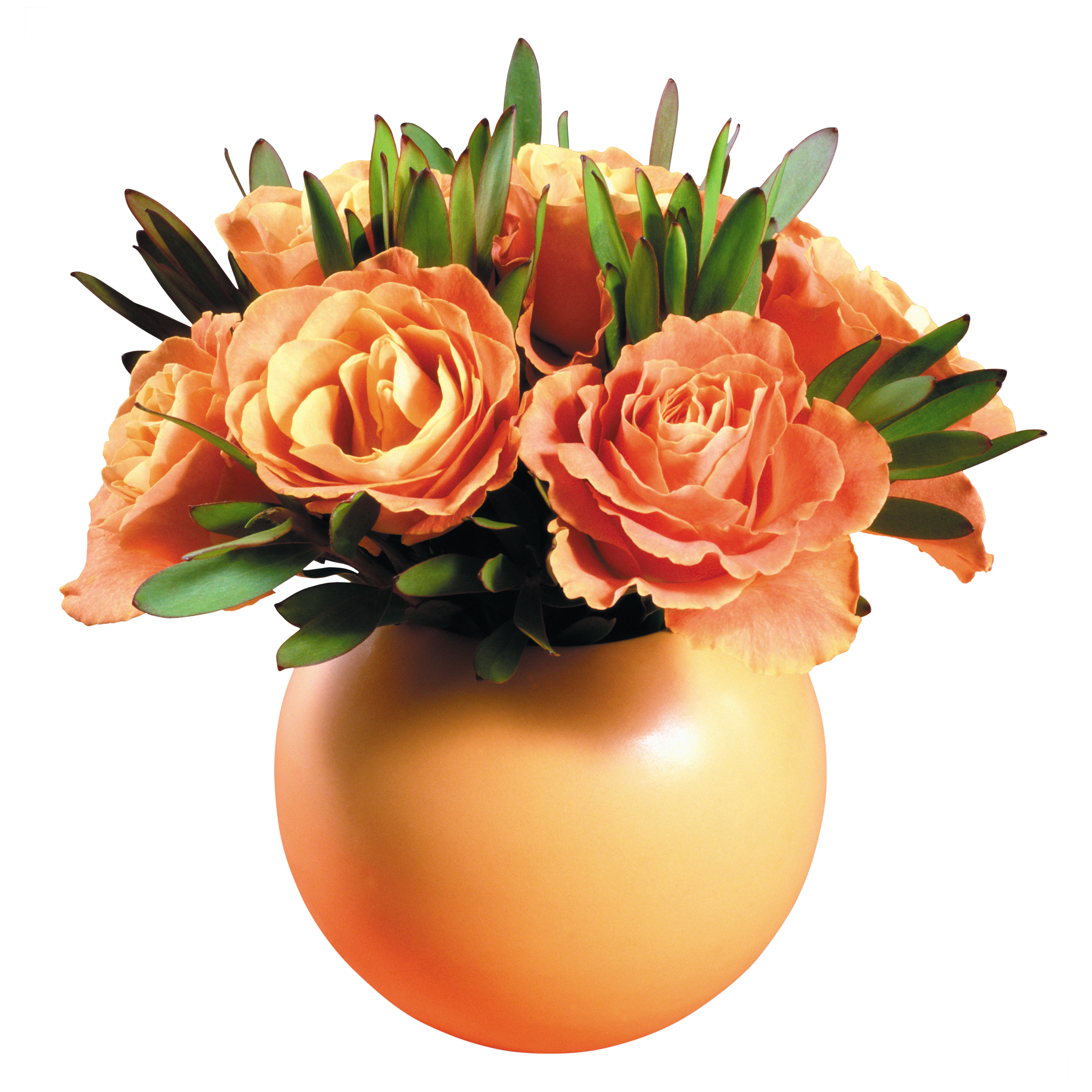 Flower Vase Transparent Picture
