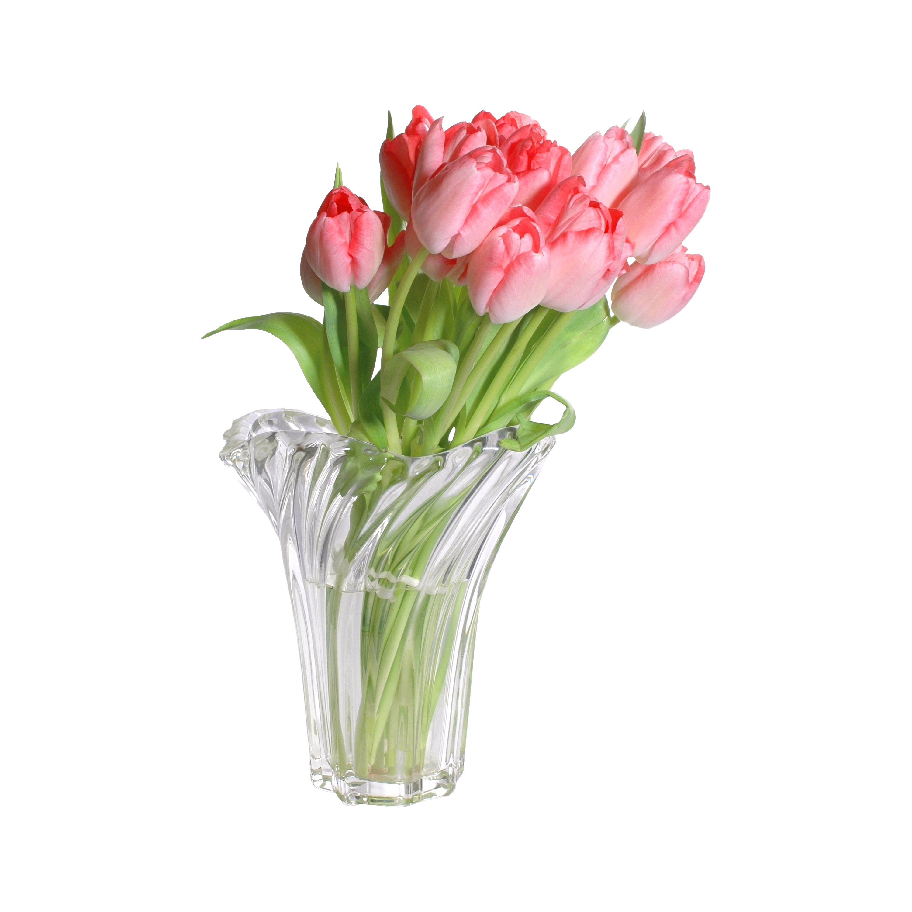 Flower Vase Transparent Clipart