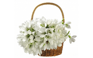 Flowers In A Basket PNG