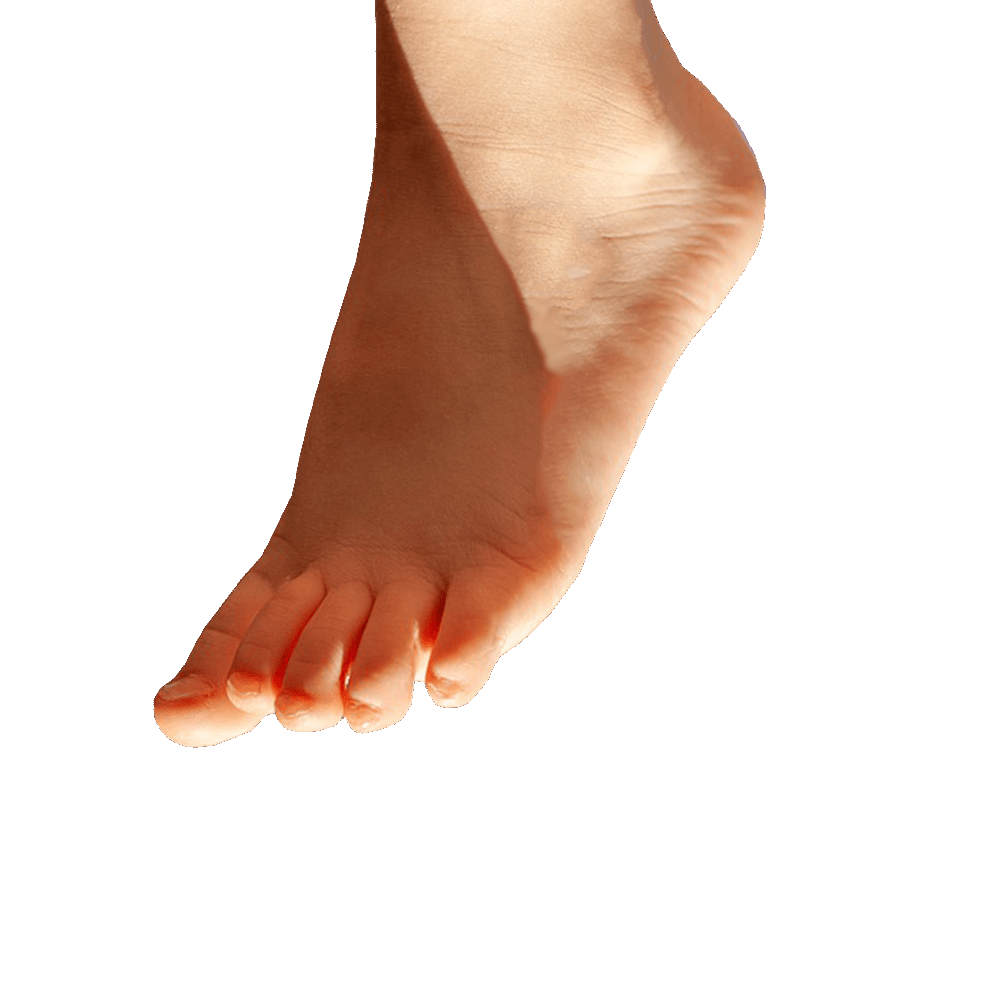 Foot Transparent Picture