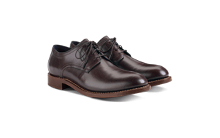 Formal Shoes PNG