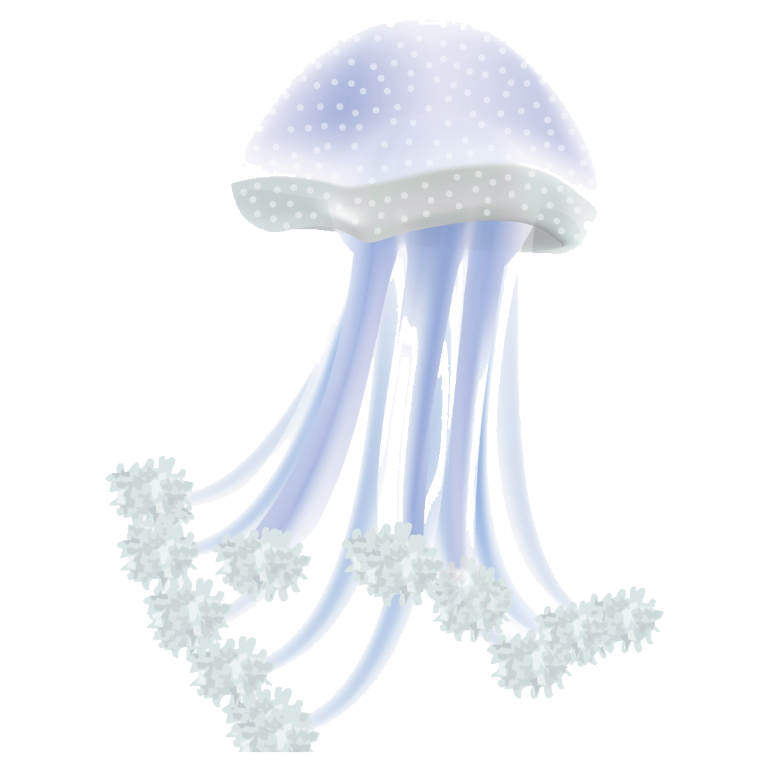 Freshwater Jellyfish Transparent Clipart
