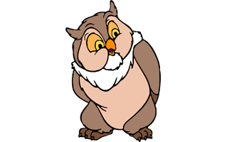 Friend Owl PNG