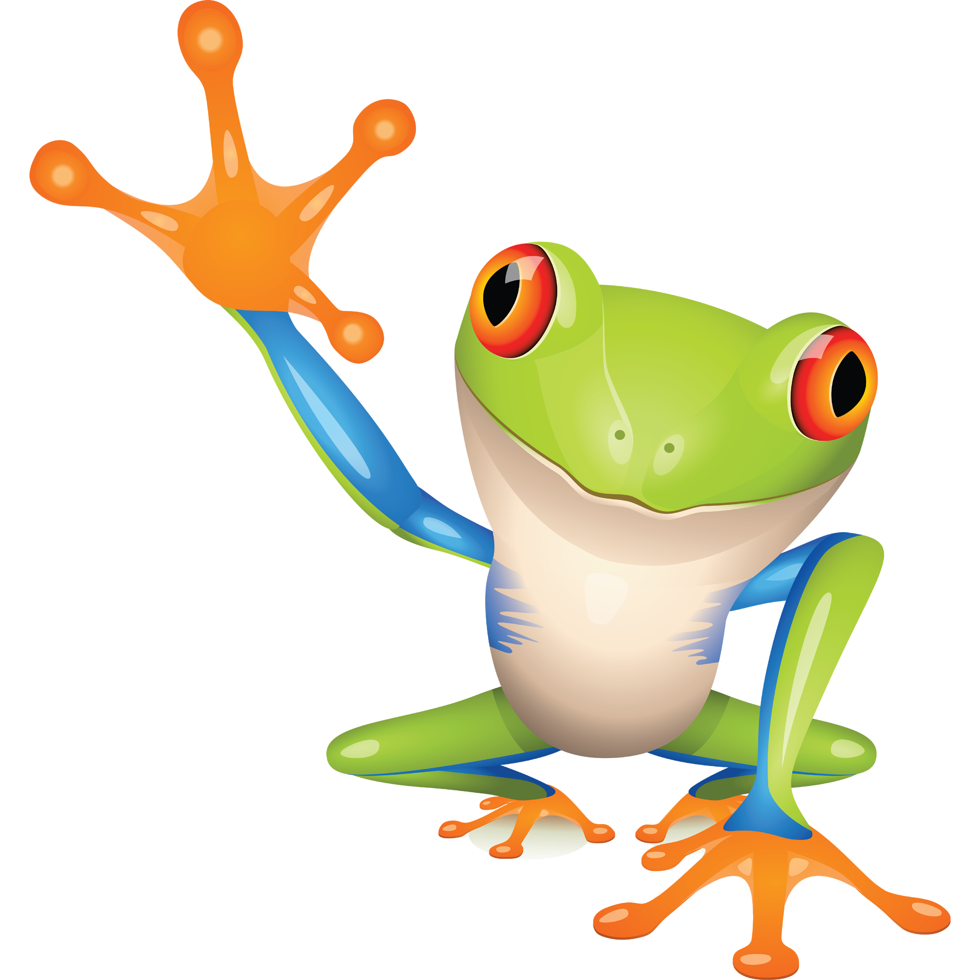 Frog Cartoon  Transparent Gallery