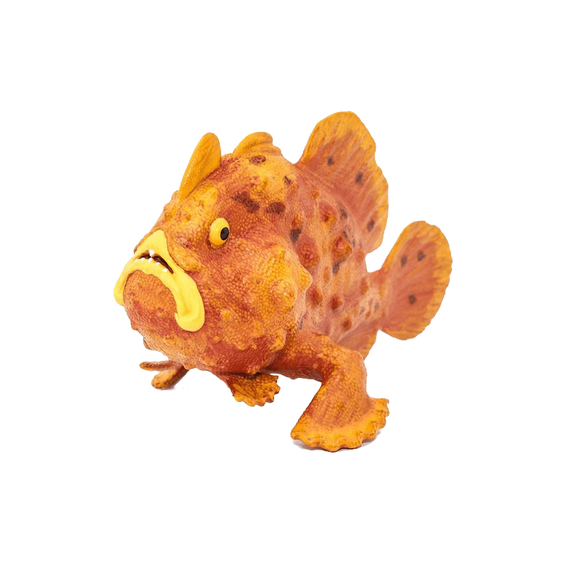 Frogfish Transparent Photo