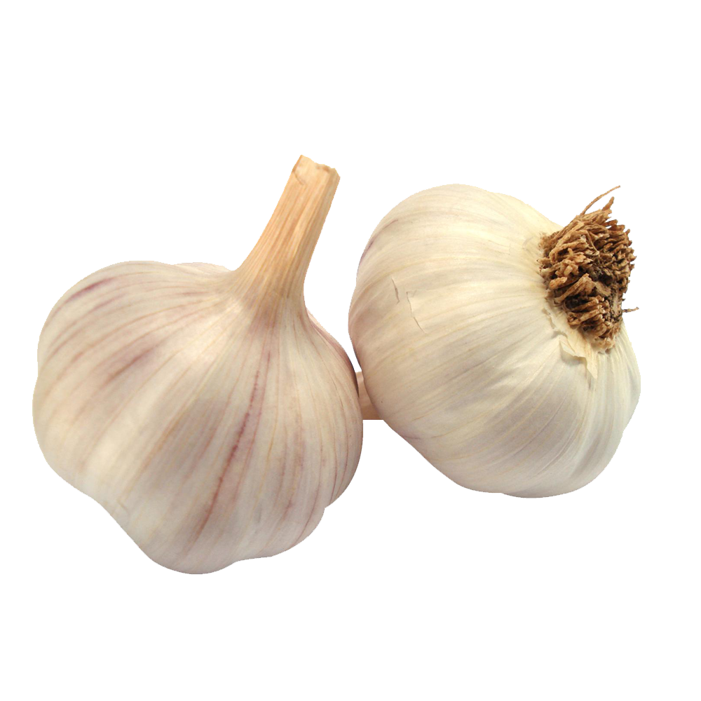 Garlic Transparent Image
