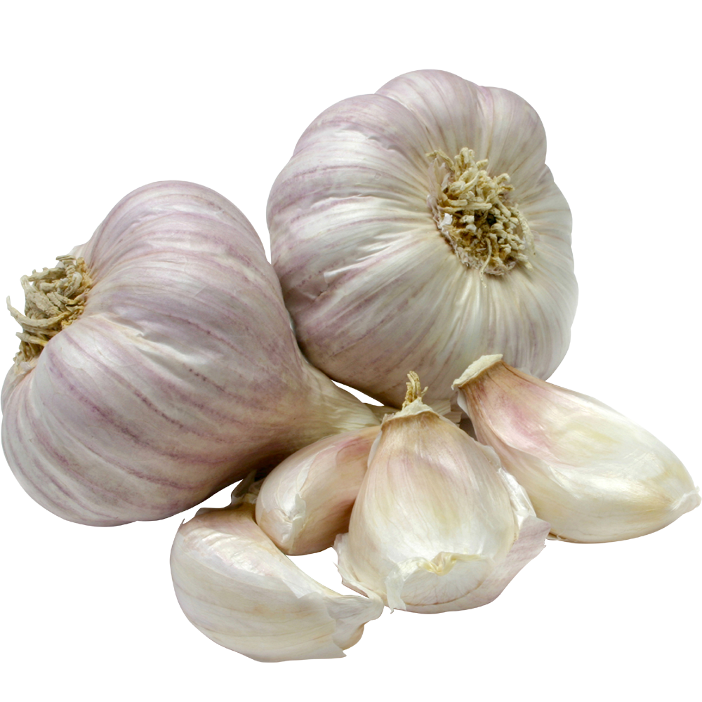 Garlic Transparent Photo