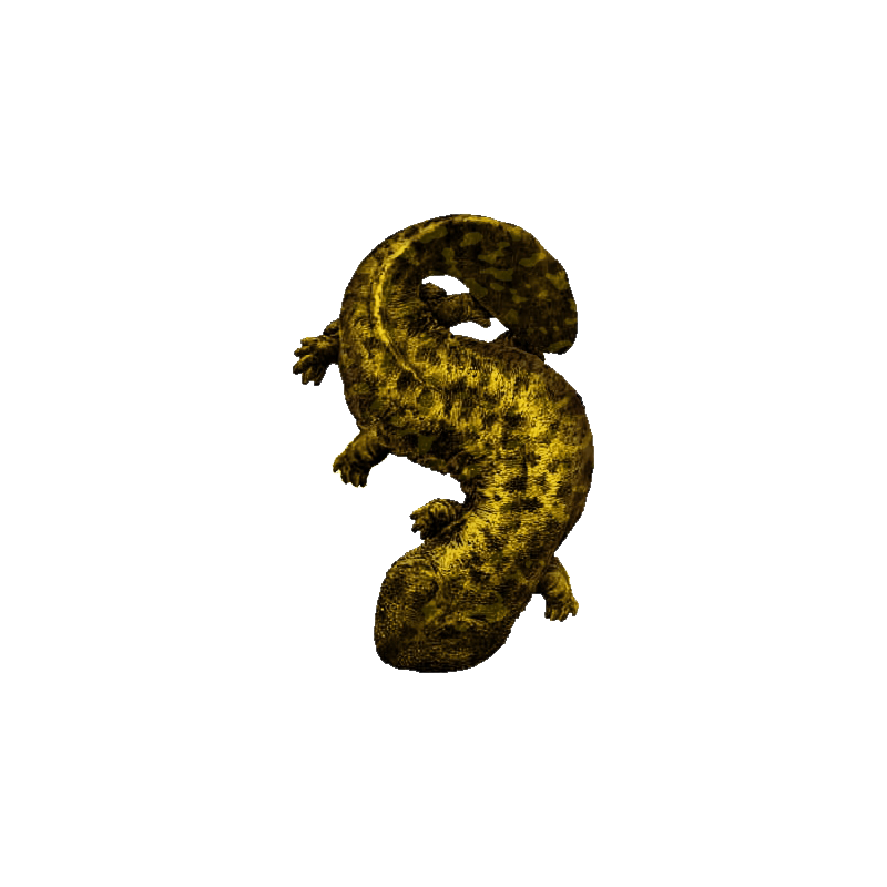 Giant Salamander Transparent Image