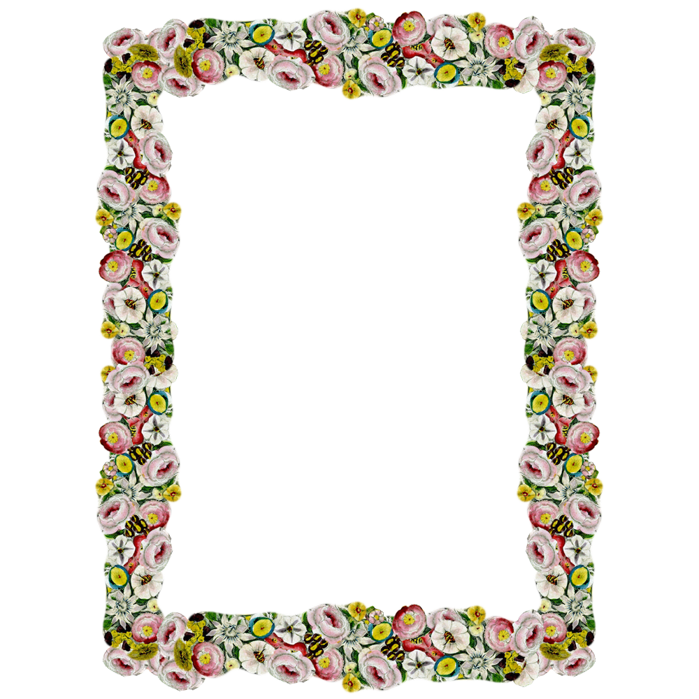 Girly Frame Transparent Gallery