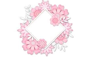 Girly Frame PNG