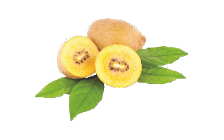 Golden Kiwi PNG