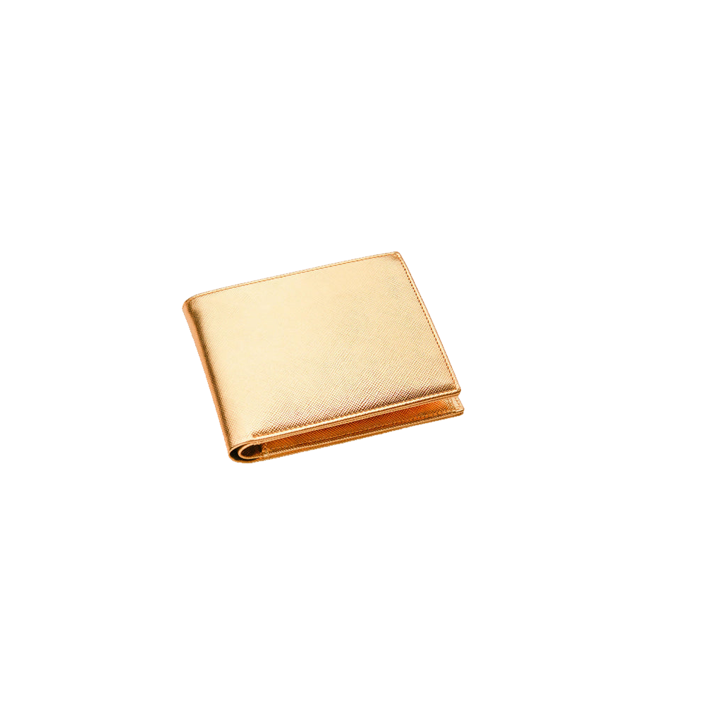 Golden Wallet Transparent Image
