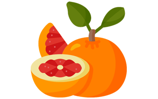 Grapefruit Sticker PNG