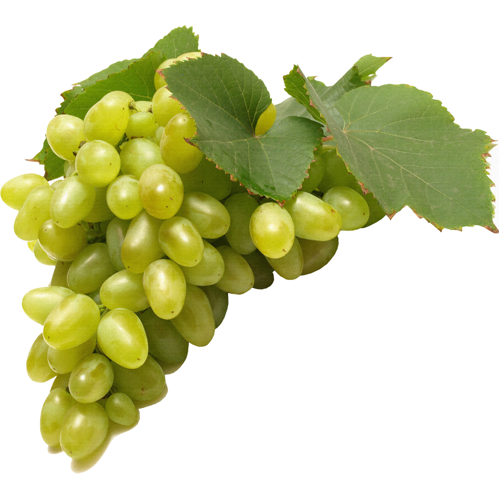 Grapes  Transparent Image