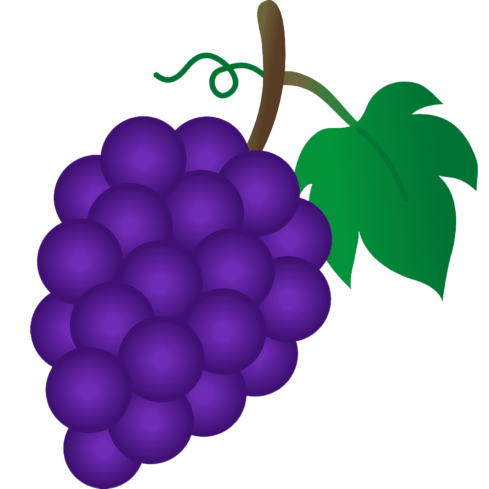 Grapes Cartoon  Transparent Image