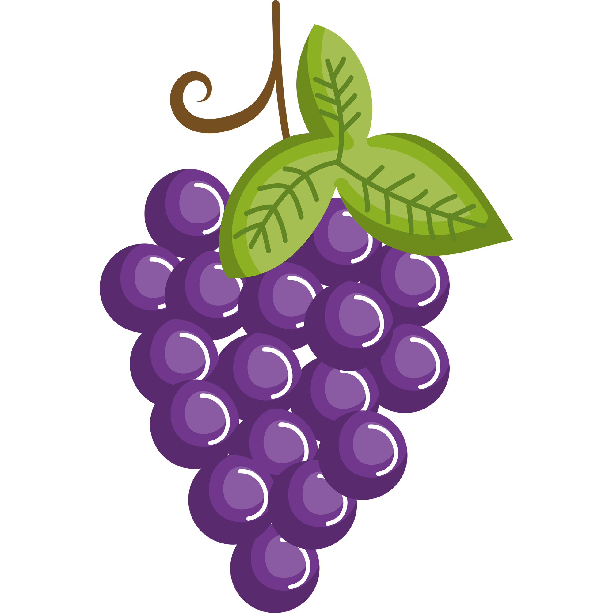 Grapes Cartoon  Transparent Photo