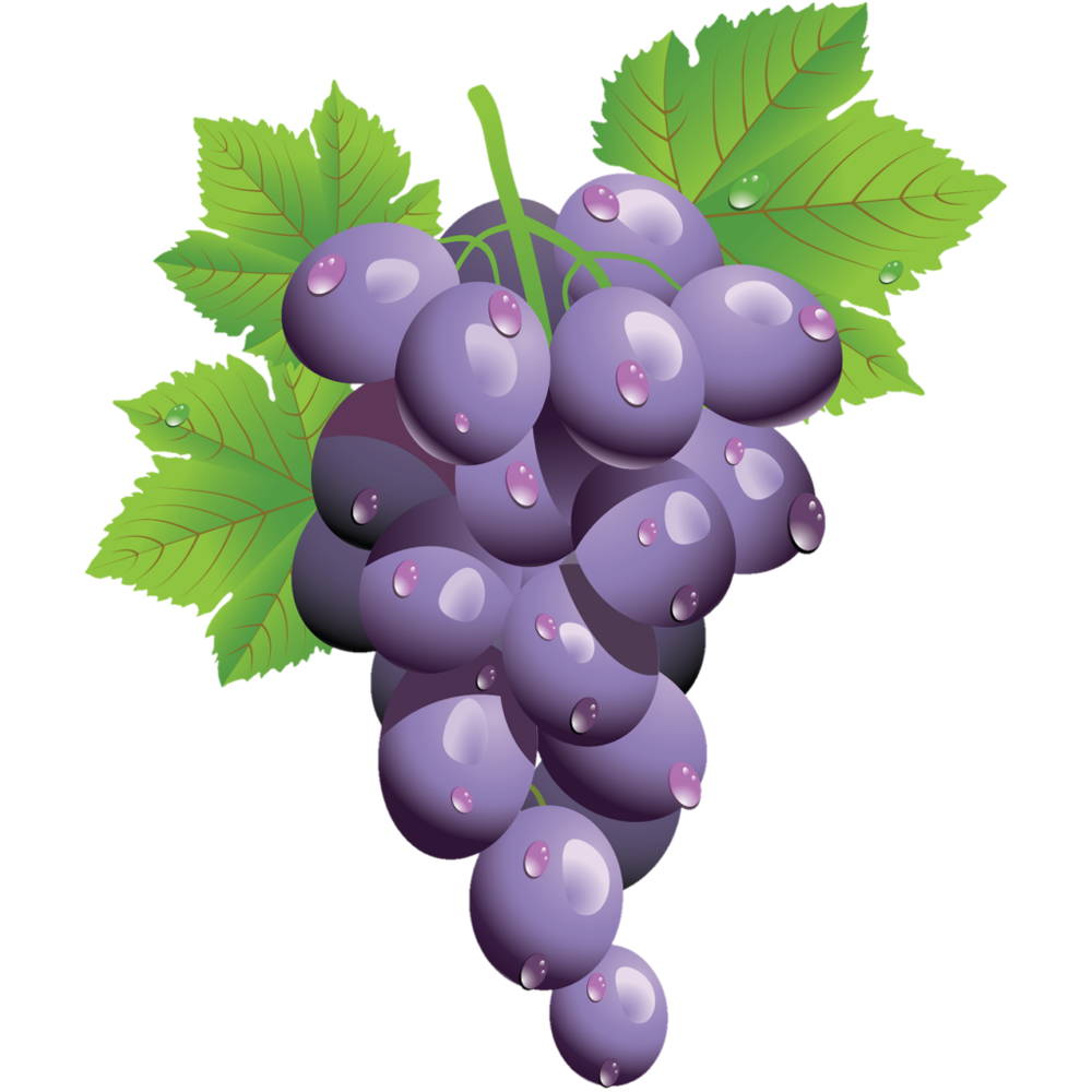 Grapes Cartoon Transparent Picture