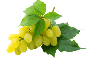 Grapes PNG