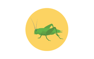 Grasshopper Sticker PNG
