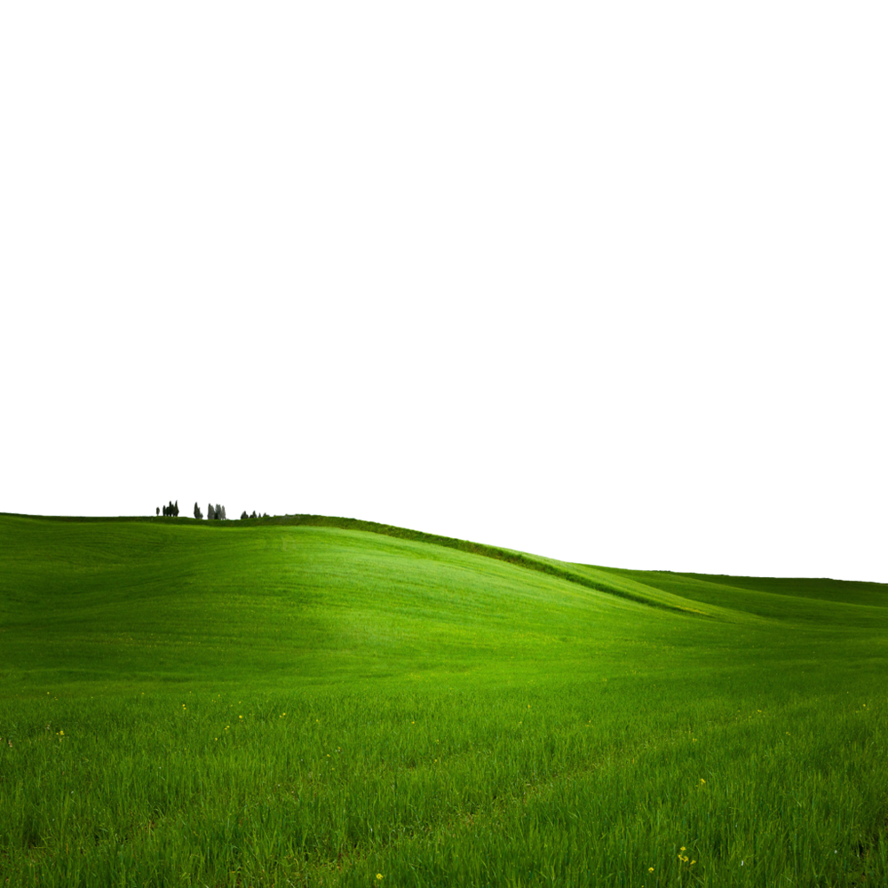 Green Background Transparent Gallery